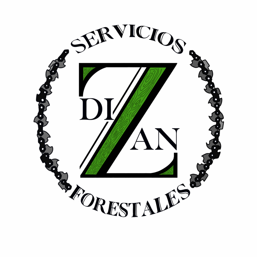 Logo1dizansinfondo 1